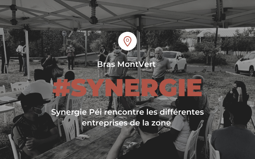 Synergie Péi : anime un atelier de maillage à Bras Montvert