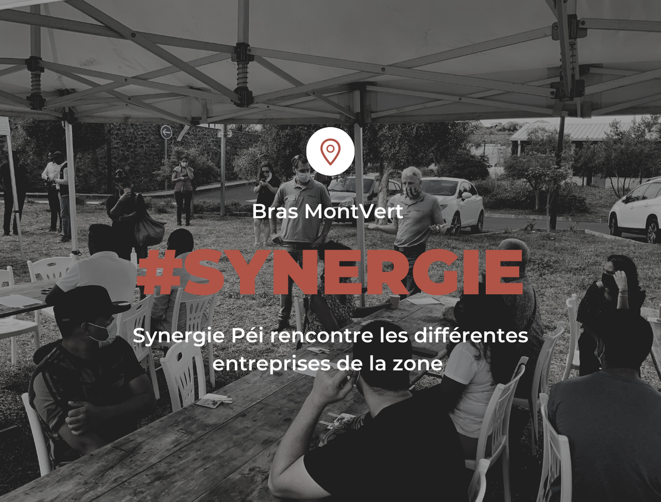 synergie-pei-TCO-zone-activité-économique-échange-entreprise synergie-pei-TCO-zone-activité-économique-échange-entreprise